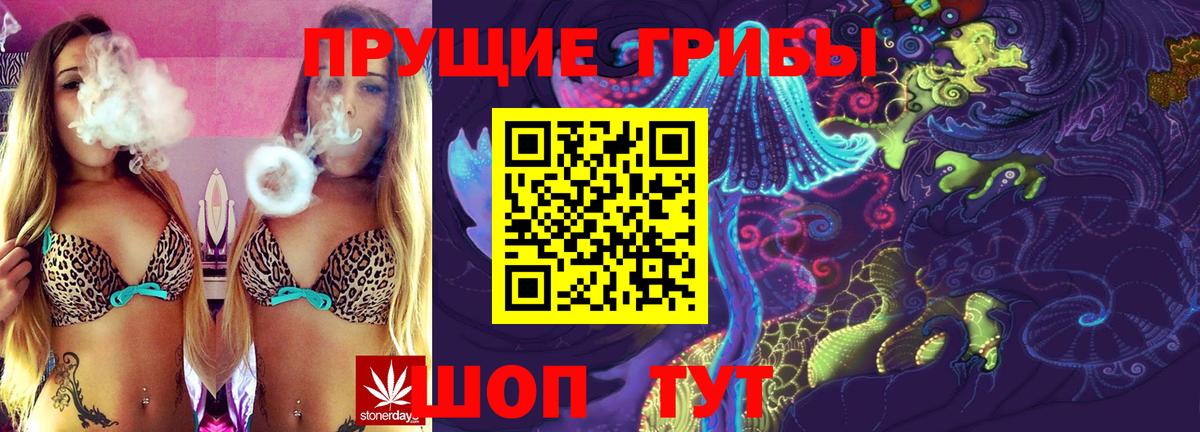 Псилоцибиновые грибы GOLDEN TEACHER  Галлюциногенные грибы мицелий  Мыски  сколько стоит  Вход с VPN 