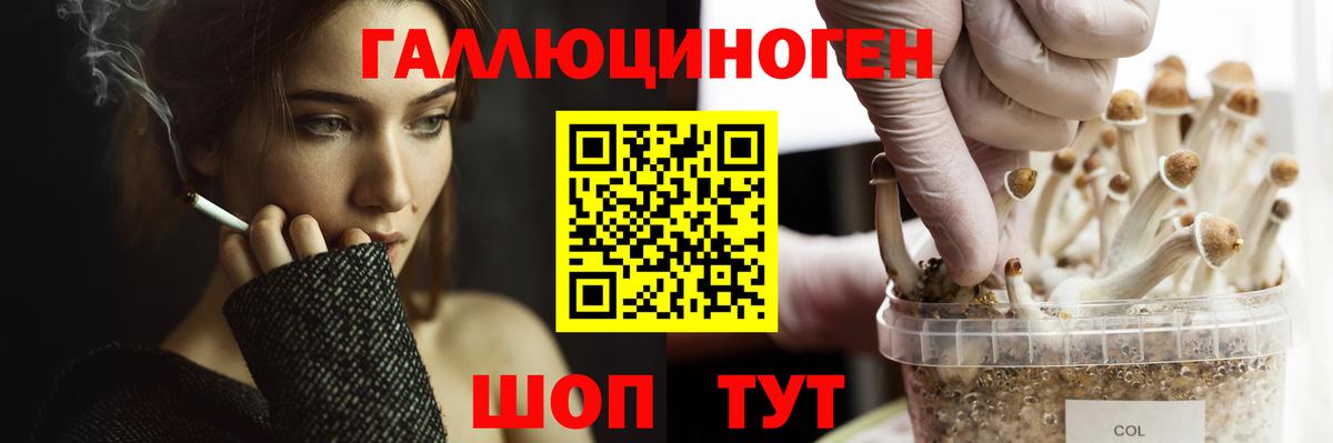 Галлюциногенные грибы мицелий Мыски
